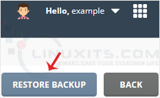 directadmin-topside-restorebtn.png