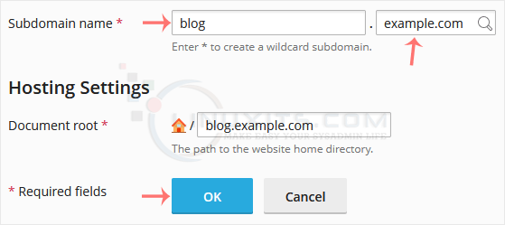 plesk-add-subdomain-options.png