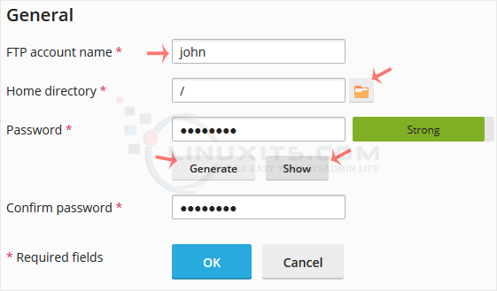 plesk-create-ftp-account-options.png