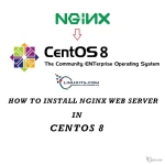 How To Install Nginx on CentOS 8
